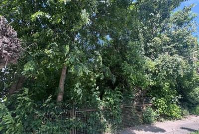 Teren constructii, 4200mp, Radauti - 6