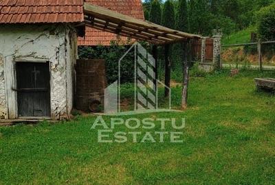 Casa bătrânească de vânzare | 4 camere | Hunedoara | Micănești - 21