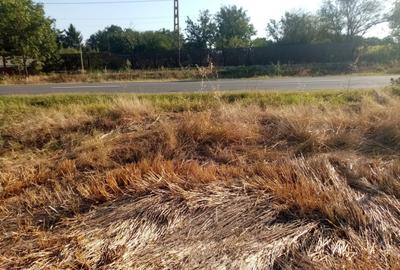 Teren de 5800 mp, în Ghimpați - 1