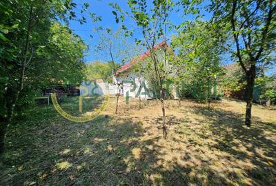 Casă Nucet, 864 mp teren cu pomi fructiferi – la 21 km de Sibiu - 2