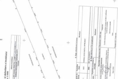 Teren de 10000 mp, în Central