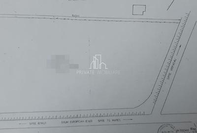 Teren 10 000 Mp Deschidere E60, Zona Aeroport/Autostrada, Ungheni Teren 10 000 Mp Deschidere E60, Zona Aeroport/Autostrada, Ungheni - 4
