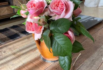 Villa with  7 rooms/ Heated Pool/ Pipera Villa with  7 rooms/ Heated Pool/ Pipera - 18