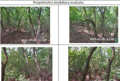 Teren de 10000 mp, în Horgești - 7