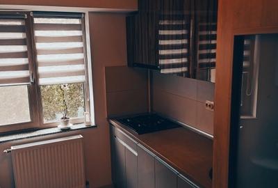 Apartament cu 2 camere decomandat, mobilat în Banat - 17
