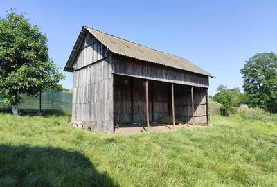 Casa batraneasca Casa batraneasca - 7