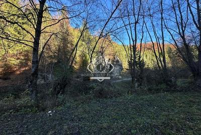 Teren 2.882 mp – oportunitate investitie - Cheile Dâmbovicioarei - 9