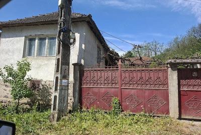 Casă cu 1 camere cu Teren 4200 Mp în Central - 4