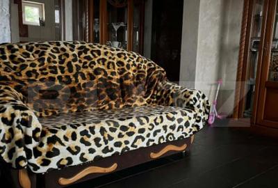 Casă cu 4 camere cu Teren 956 Mp în Central - 5