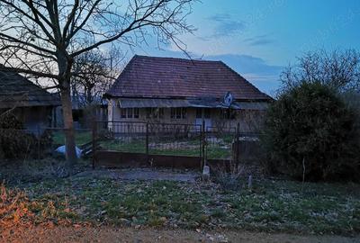Teren de 2400 mp, în Dobrin - 6