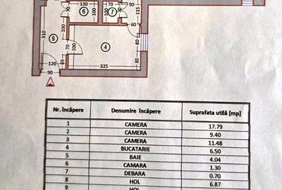 Apartament cu 3 camere decomandat, mobilat în Costin Georgian - 7