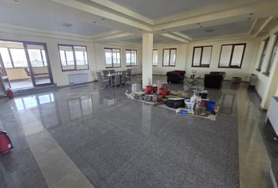 De închiriat – Penthouse deosebit în zona Modern, 380 mp, Timișoara - 4