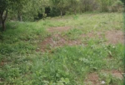 Teren de 1100 mp, în Seaca (Călimănești) - 8