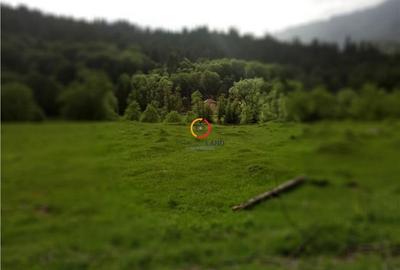 Teren de 1500 mp, în Central - 6