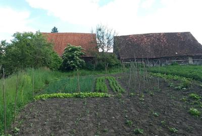 Casă cu 4 camere cu Teren 500 Mp în Mangalia - 7