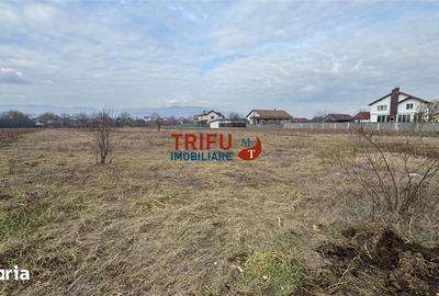 Teren de 464 mp, în Partoș - 3