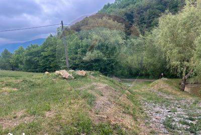Teren de 2000 mp, în Copalnic - 4