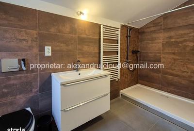 Casă cu 4 camere cu Teren 219 Mp în Chitila - 2