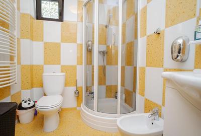 Vila Grandioasa 650 mp+Spatiu Comercial 110 mp Tatarasi Teren 968 mp - 13