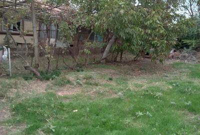 Teren de 1300 mp, în Drăgănescu - 5