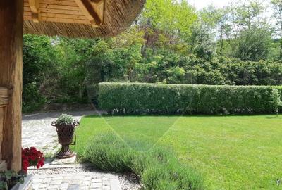 Casă cu 5 camere cu Teren 550 Mp în Sălicea - 27