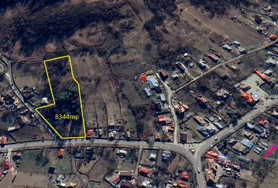 Lot teren 8.344 mp - Deschidere la 3 drumuri - Buhoci! - 4