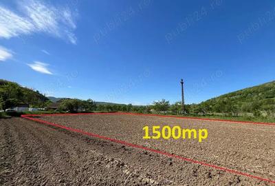 Teren de 1500 mp, în Bejan - 2