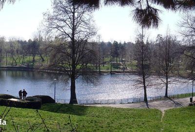 Apartament cu 3 camere, mobilat în Ștefan cel Mare - 6