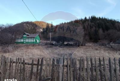 Casă cu 2 camere cu Teren 9287 Mp în Dorna-Arini - 12