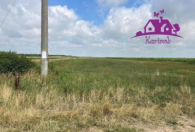 Teren de 28100 mp, în Gepiu - 3