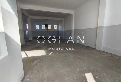 Spatiu comercial 450 mp (P+E)- zona Terezian - 12