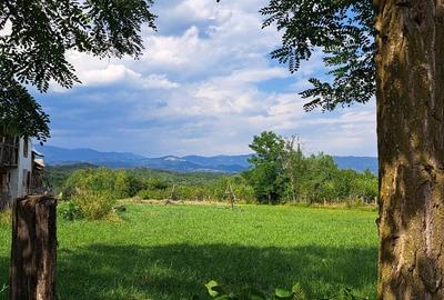 Bughea de Jos-Imparatia Mlacilor, teren de vanzare, 3000 mp, 27 ml deschidere - 6