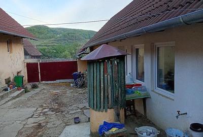 Casă cu Teren 1900 Mp în Laslea - 3