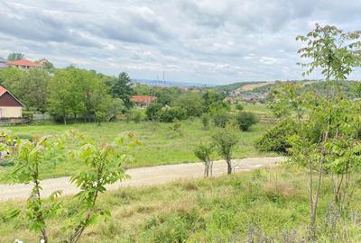 Teren de 867 mp, în Paleu - 3