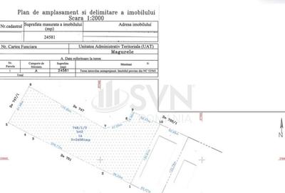 Teren Cornetu-Magurele - 24581 mp - Strada Magnoliei - Ac... Teren Cornetu-Magurele - 24581 mp - Strada Magnoliei - Ac... - 2