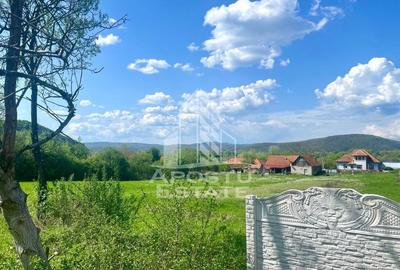 Teren intravilan, partial imprejmuit, eligibil grant- Poj... - 12