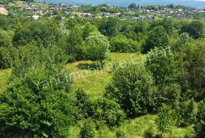 Teren de vanzare in comuna Baicule?ti, sat Valea lui Enache, jude? Arge?. - 3