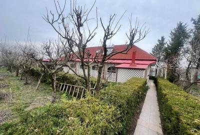 Negru Voda casa cu teren de 1200 mp, constructie 2008 - 8