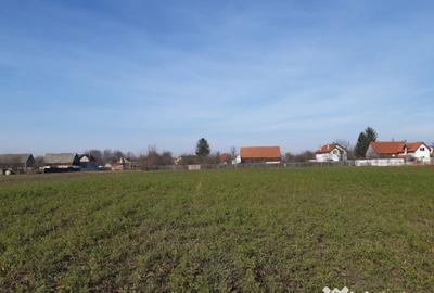 Teren de 2325 mp, în Triaj - 9