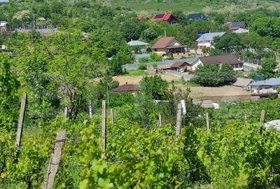 Casă individuală cu 2 camere cu Canalizare în Uricani - 3
