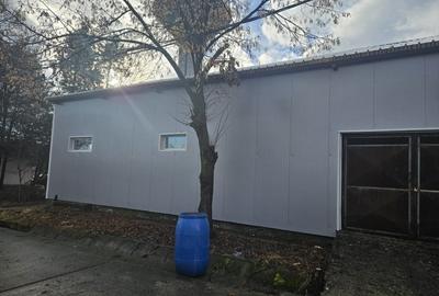 Hale industriale si magazii metalice de inchiriat - 4