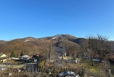 Casă cu 4 camere în Valea Neagră - 10