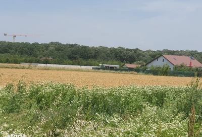 Spațiu comercial, în Balotești - 8