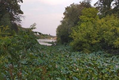 SUPER  OCAZIE TEREN 4000MP DE VANZARE IN SNAGOV CU DESCHIDERE LA LACUL SNAGOV - 8