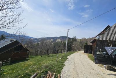 Casă cu 2 camere în Albac - 3