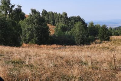 Vand teren montan 6.043mp , 20.000 euro, 55m deschidere- drumul Saliste - Crint - 1