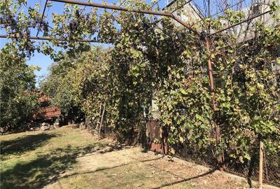 Casă cu 5 camere cu Teren 5500 Mp în Teslui - 4