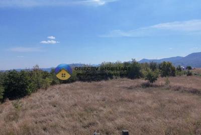 Teren intravilan 1100 mp - zona 1 Mai - 7