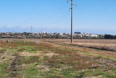 OCAZIE ! EFORIE NORD, ULTIMELE 3 LOTURI, 517 MP. 19.500 EURO IDEAL INVESTITIE ! - 4