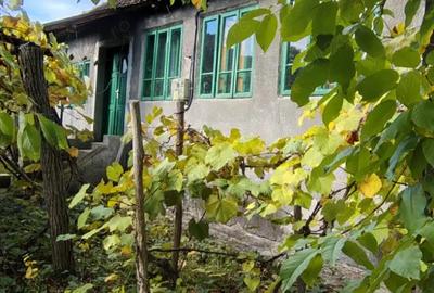 Casa de vanzare in ilovat, mehedinti - 9